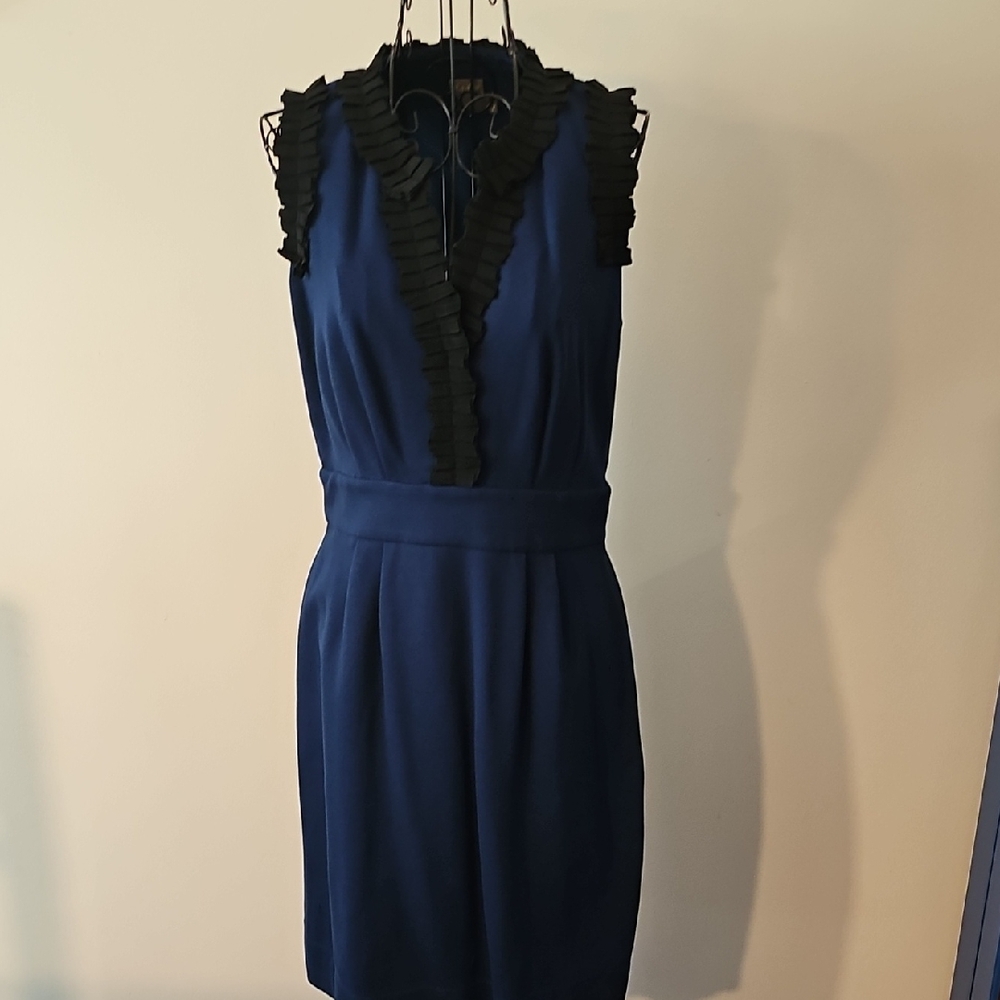 Taylor Navy and Black Ruffle Mini Dress
